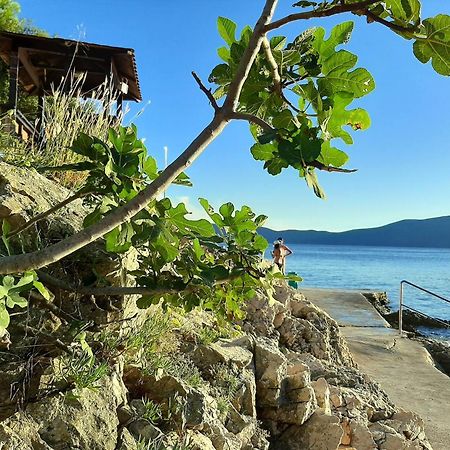 Apartments Paradiso Krk Town Dış mekan fotoğraf